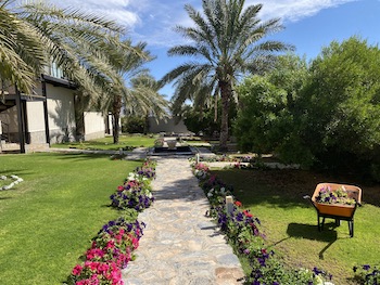 The View Al hamra Oman gardens