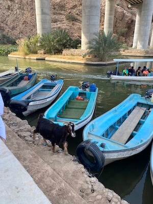 boats to wadi shaab oman