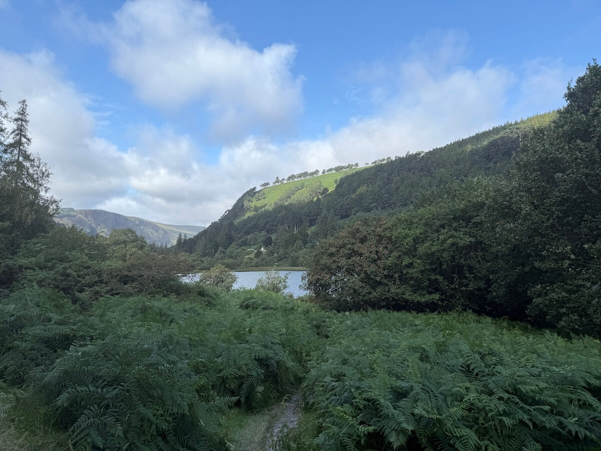 A scenic view of a lush valley with thick green ferns in the foreground, a calm lake partially visible through the trees, and rolling hills rising under a partly cloudy blue sky.