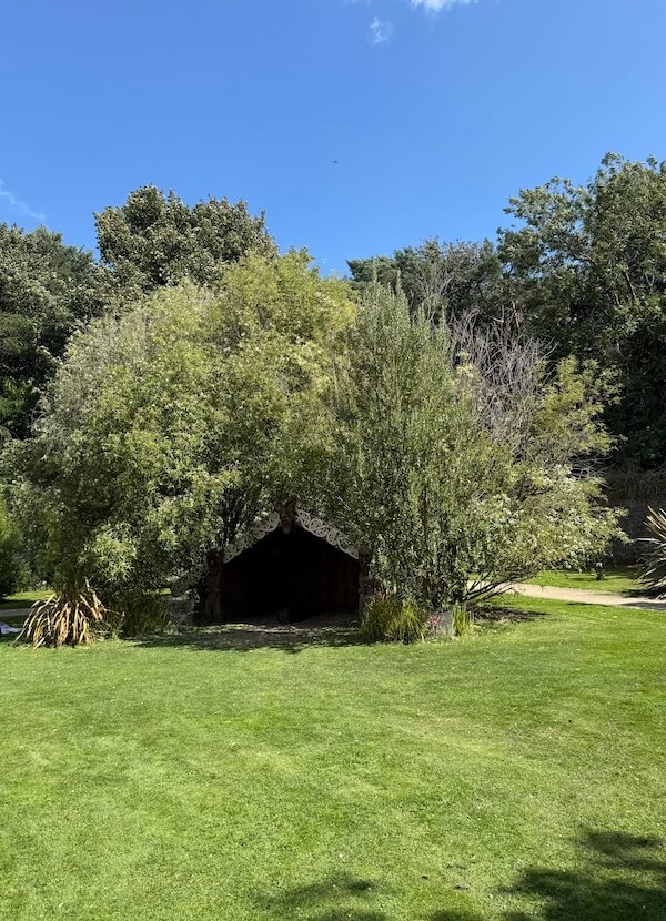 A small wooden structure with a peaked roof is nearly hidden beneath thick green tr