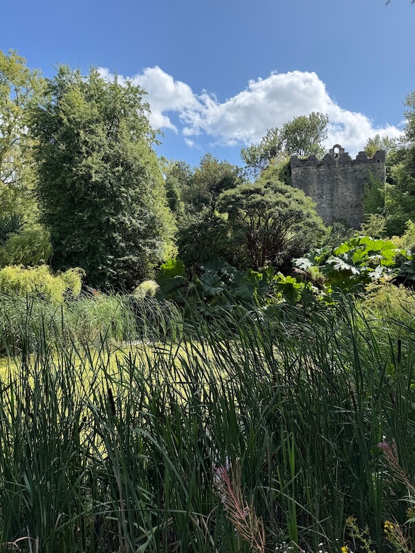 A lush green wetland with tall grasses and dense vegetation surrounds a moss-covered pond, with the partial remains of a stone castle wall visible through the trees in the background.
