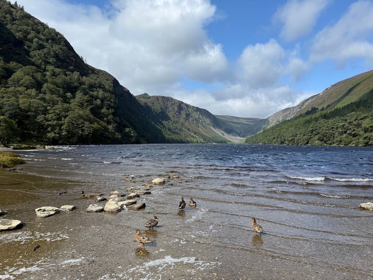 A serene lake sits between steep, tree-covered mountains, with ducks wading near the rocky shoreline. The water ripples gently under a partly cloudy blue sky, stretching into a distant valley.