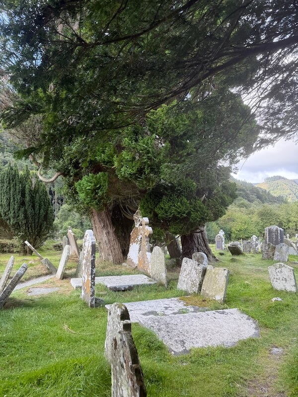 Weathered stone gravestones stand among thick grass beneath large, ancient trees in a historic cemetery with hills visible in the distance.