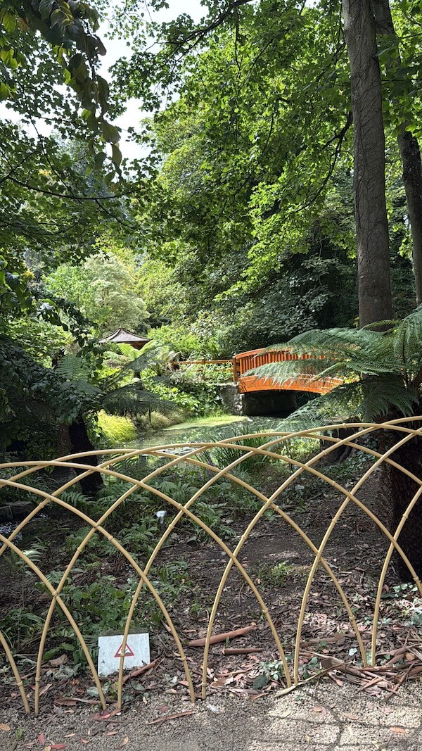 A bright orange wooden footbridge stretches over a lush green stream, surrounded by dense forest and framed by a low, arched bamboo fence in the foreground.