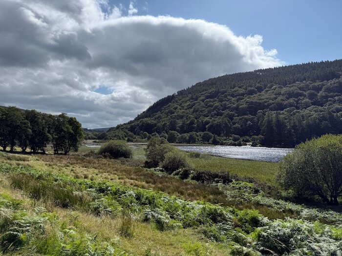 A scenic view of a shimmering lake bordered by grassy wetlands and rolling forested hills, with dramatic clouds casting shadows across the landscape.