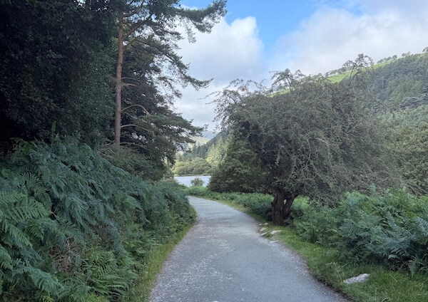 A winding paved path lined with ferns and trees leads toward a glimpse of a lake, with forested hills rising in the background.