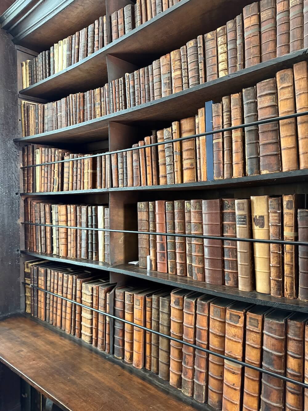 Close-up of antique books with aged leather bindings arranged on wooden shelves at Marsh's Library, secured behind thin black bars for preservation.
