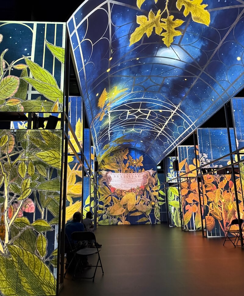 Immersive digital room with curved ceiling and walls covered in animated botanical and celestial illustrations, part of the Book of Kells Experience, with visitors seated in the exhibit space.