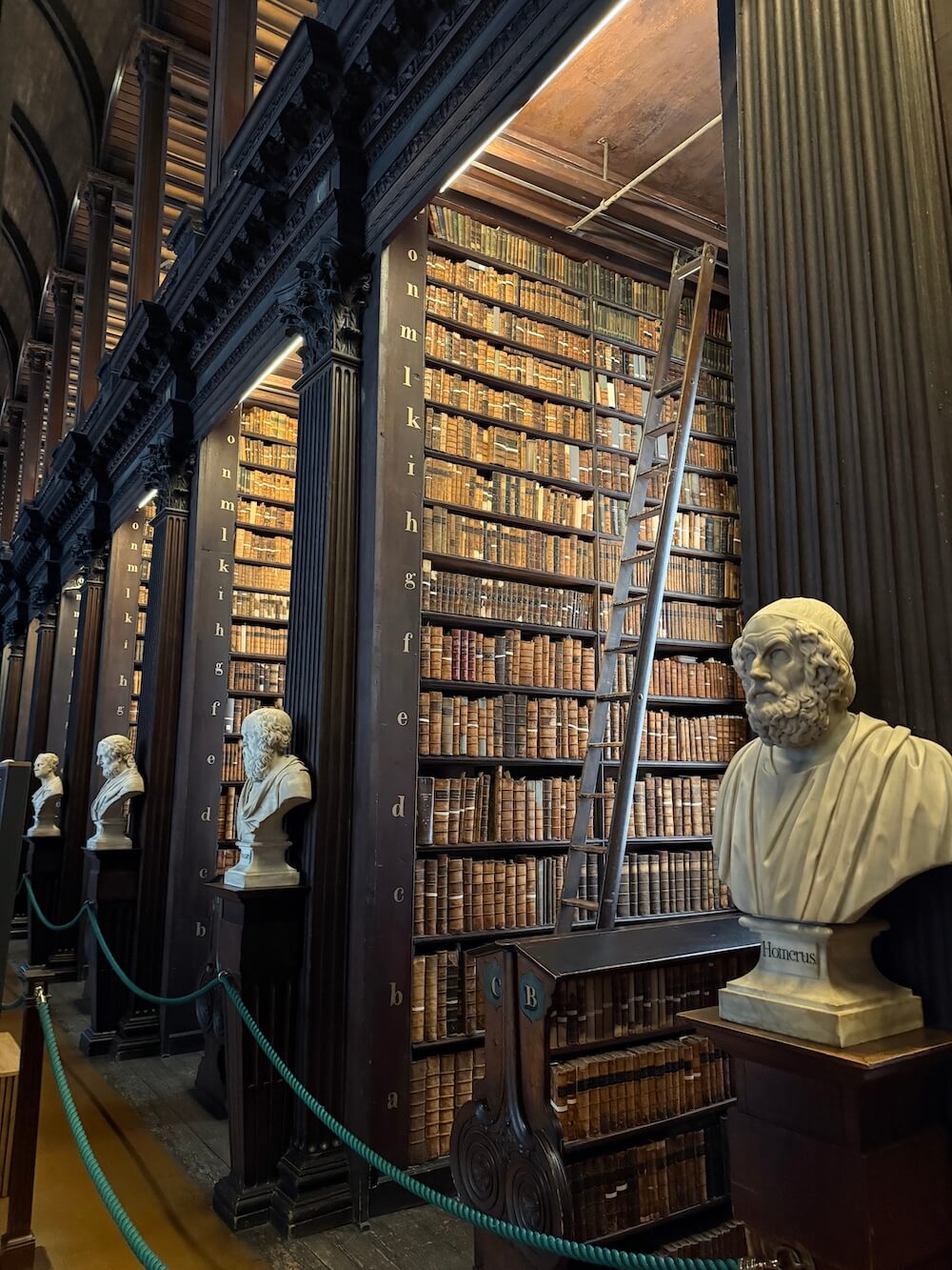 Towering wooden bookshelves filled with old leather-bound books in the Long Room at Trinity College Library, flanked by marble busts and a tall rolling ladder leaning against the shelves.