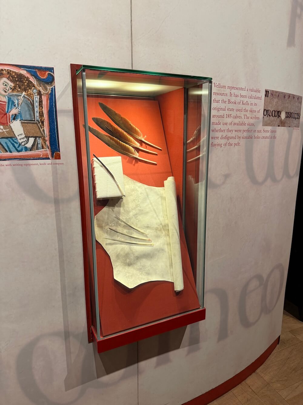 Display case showing the tools of medieval manuscript production, including sheets of vellum and several feather quills, with a wall text noting the use of calfskins in the making of the Book of Kells.