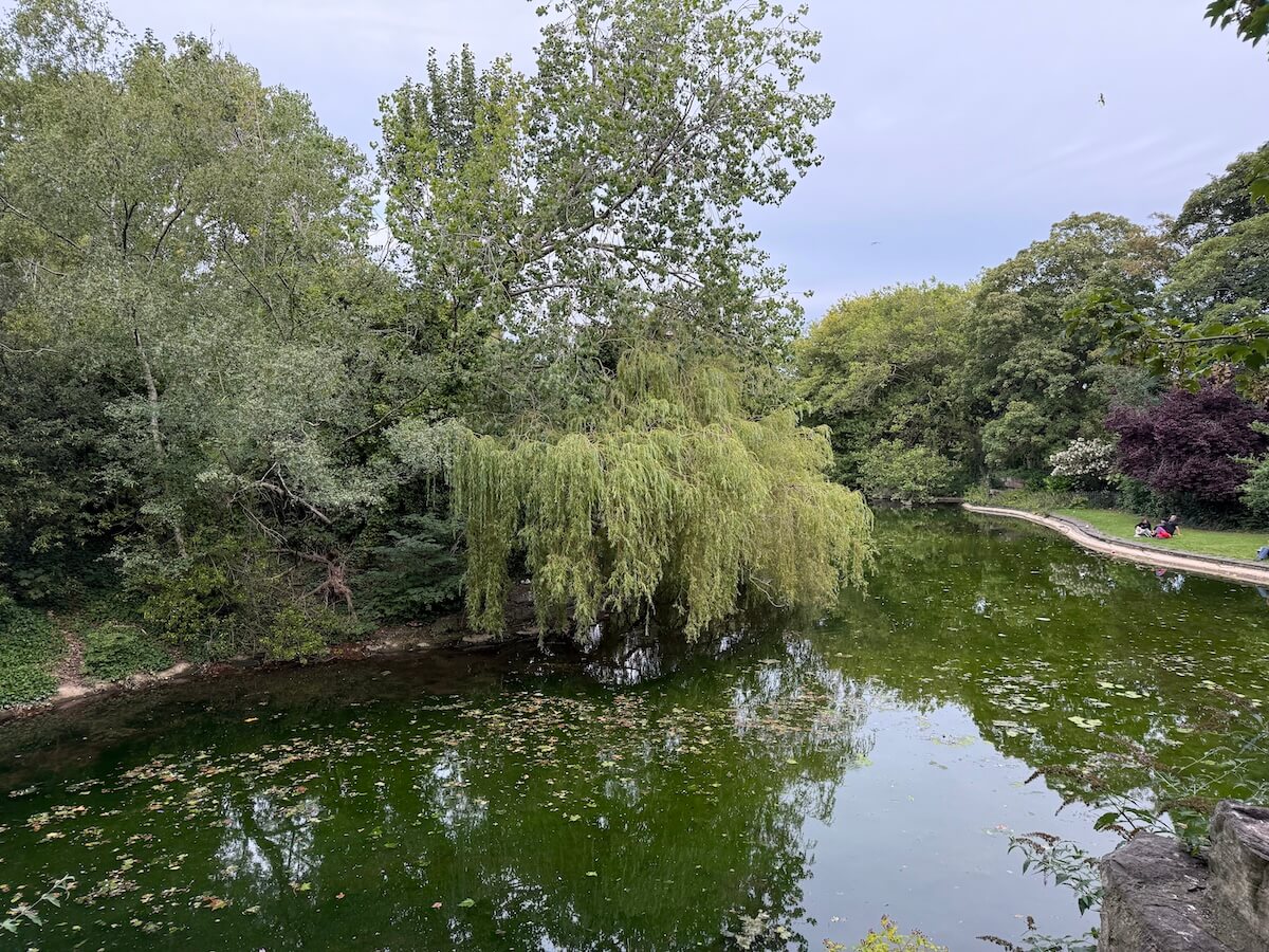 Peaceful scene in St Stephen’s Green with a willow tree draping over a reflective pond, surrounded by lush greenery and a curved footpath where people are sitting and relaxing.